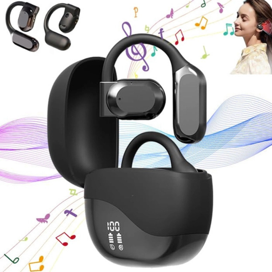 PKKP Translator Headphones